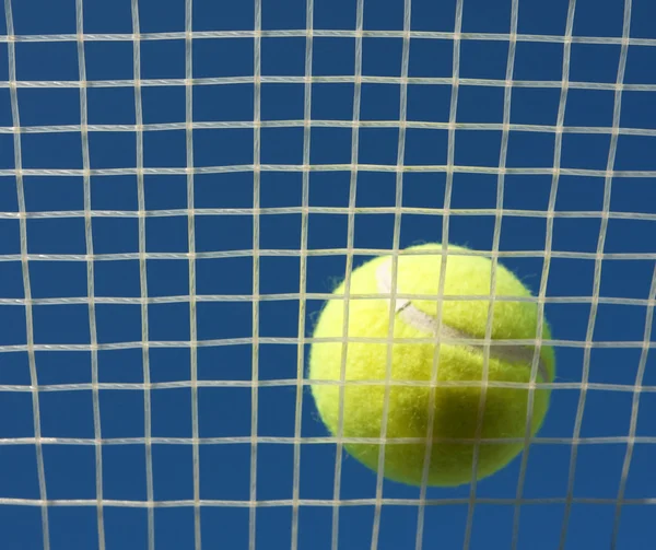 Tennis Ball on Racket Strings — Stockfoto