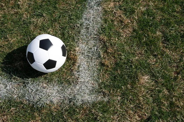Fußball auf dem Rasen — Stockfoto