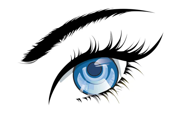 Eyelashes Vector Art Stock Images | Depositphotos