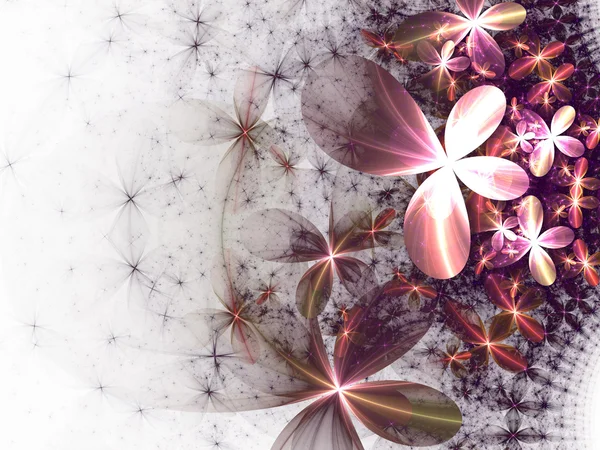 Flores fractales —  Fotos de Stock