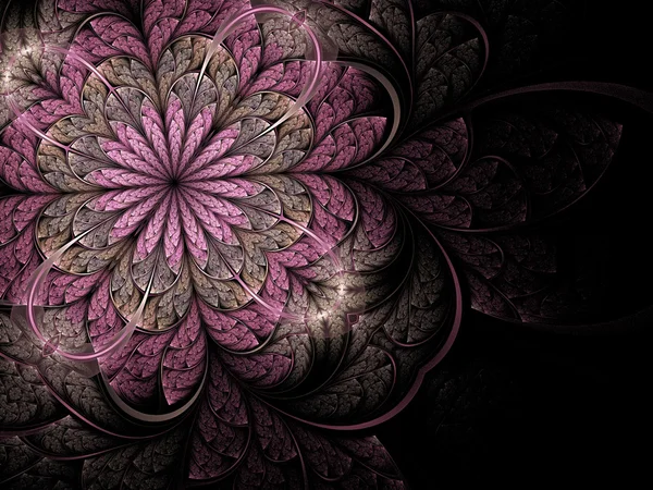 Pembe fraktal çiçek — Stok fotoğraf