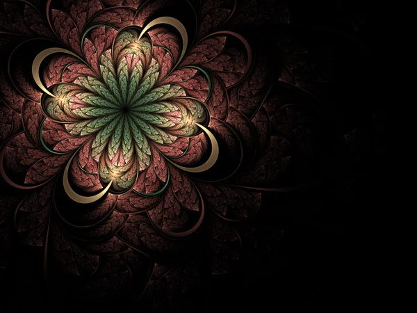Zachte fractal bloem — Stockfoto