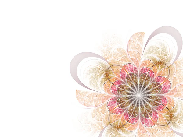 Fraktal çiçek — Stok fotoğraf