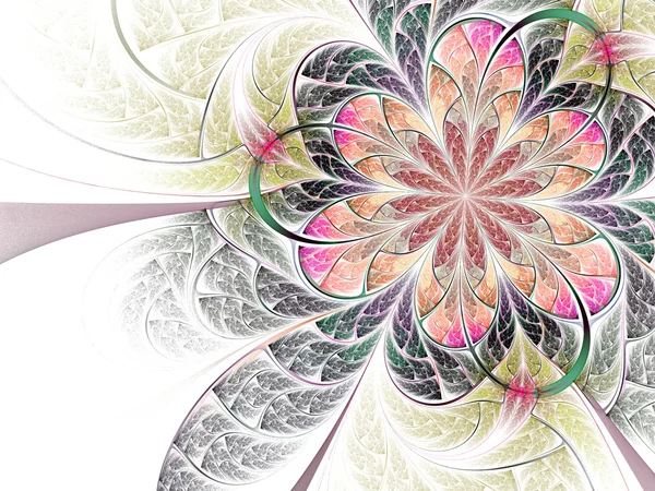 Fraktal kolorowy kwiat — Zdjęcie stockowe