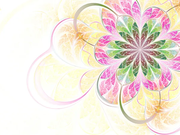 Красочный фрактальный цветок — стоковое фото