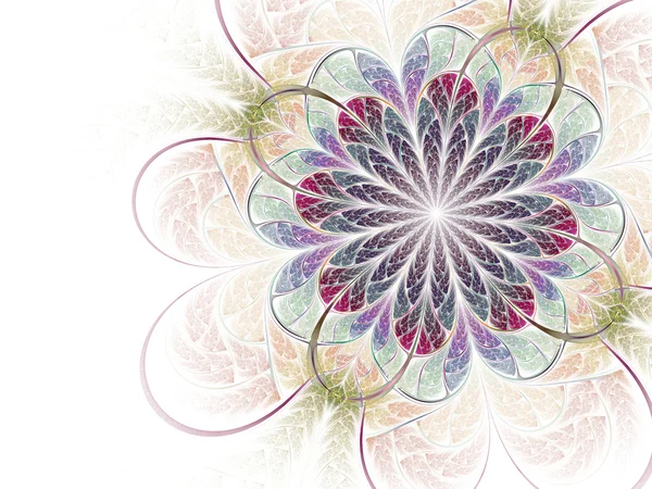 Sodt fractal bloem — Stockfoto