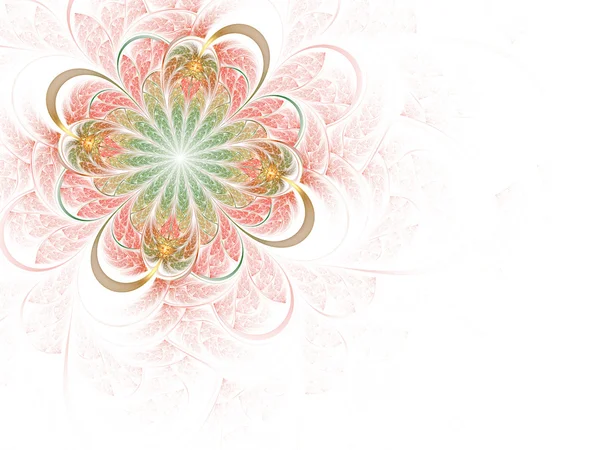 Färgglada fraktal blomma — Stockfoto