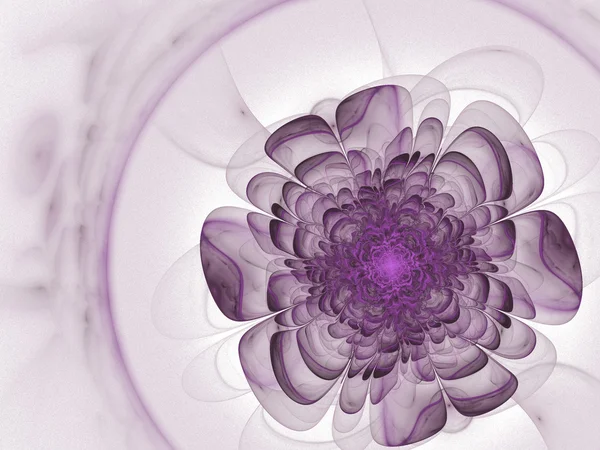 Flor fractal roxa macia — Fotografia de Stock