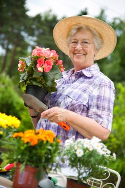 Portrait of pretty senior woman gardening clipart