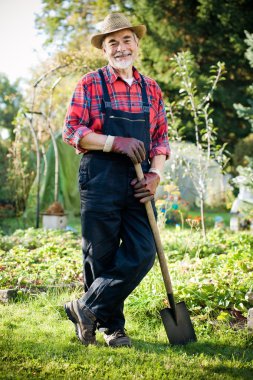 Senior gardener clipart