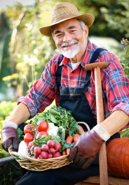 Gardening clipart