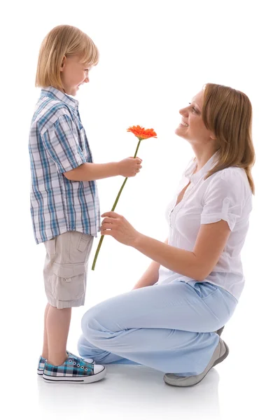 Květina pro maminku — Stock fotografie