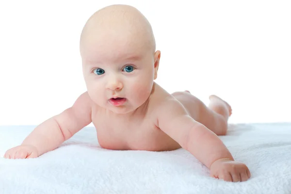 3 Monate Baby schaut in die Kamera — Stockfoto