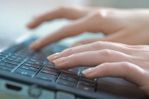 stock image Typing on laptop