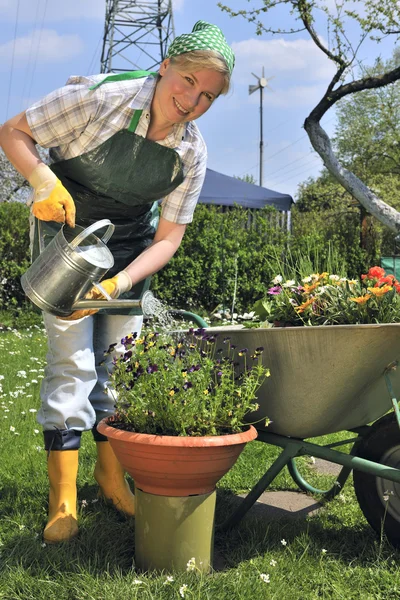 Gartenarbeit — Stockfoto