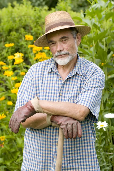 Vedoucí zahradník — Stock fotografie