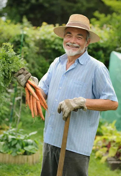 Senior trädgårdsmästare — Stockfoto