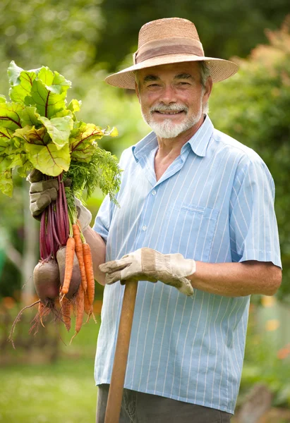 Jardineiro Sénior — Fotografia de Stock