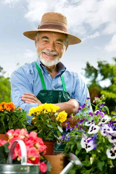 Portrait de l'homme âgé jardinage — Photo