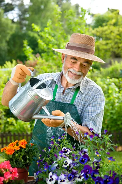 Портрет пожилого человека, поливающего цветы — стоковое фото