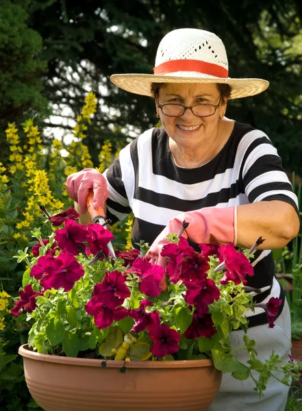 Starší dáma v zahradě — Stock fotografie