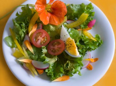 taze yeşil salata ile