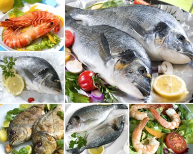 Seafood Collage clipart