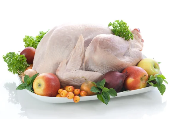 Stuffed Turkey — Stock Photo, Image