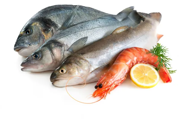 Морская еда — стоковое фото