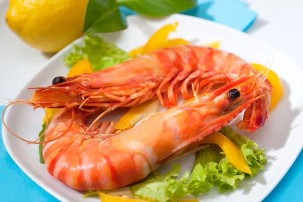 Krevety salát na talíři — Stock fotografie