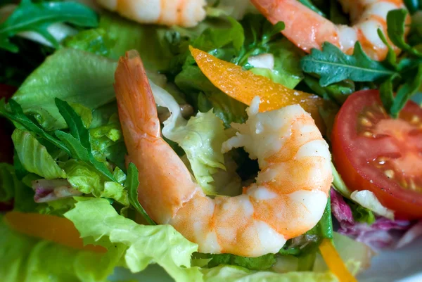 Fresh salad with shrimp — Stock Photo, Image