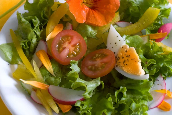 Fresh garden salad with — Stock Photo, Image