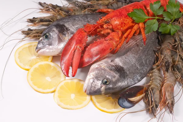 Морская еда — стоковое фото