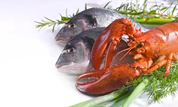 Alimentos de mar — Foto de Stock