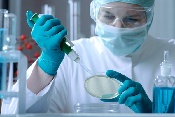 Scientist working at the laboratory