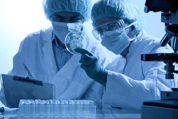 Wissenschaftler, die im Labor arbeiten — Stockfoto