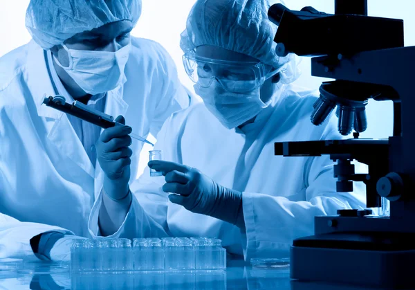 Cientistas que trabalham no laboratório — Fotografia de Stock