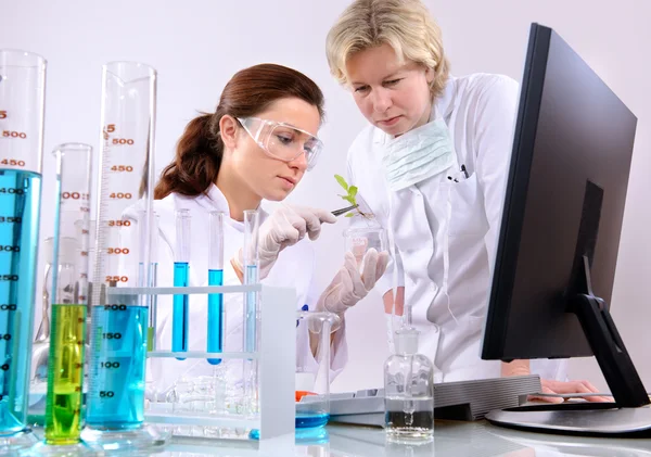 Laboratory Royalty Free Stock Images