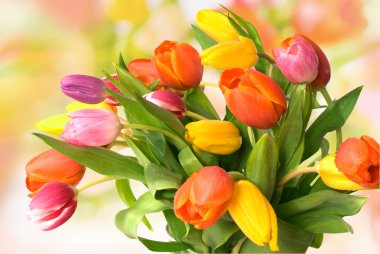 Bouquet of the fresh tulips clipart