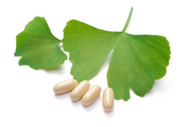 Ginkgo biloba