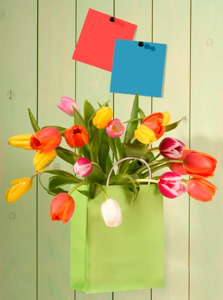 Fresh tulips in shopping bag — Stock Photo, Image