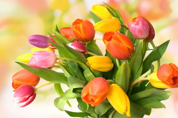 Ramo de tulipanes frescos — Foto de Stock
