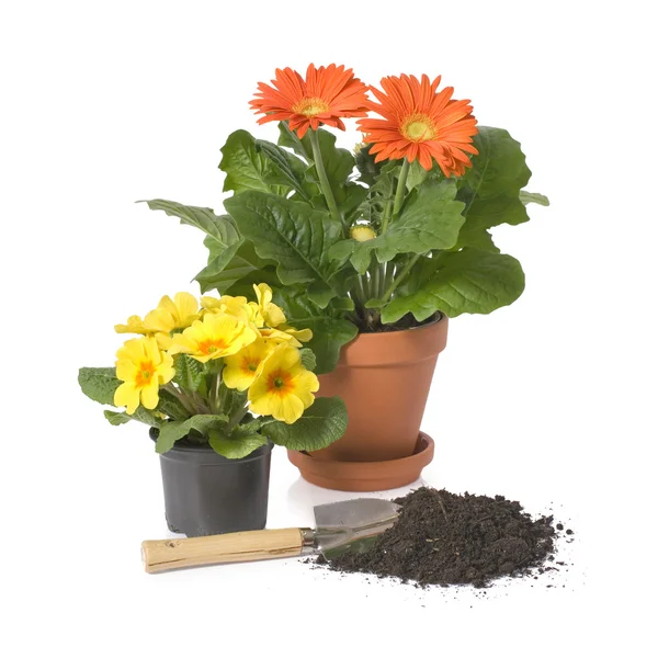 Hrnkové květiny s zahradní technika — Stock fotografie
