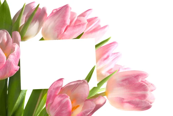 Ramo de tulipanes rosados con tarjeta en blanco — Foto de Stock