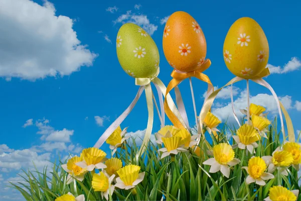 Easter eggs on the meadow — Stock Photo, Image