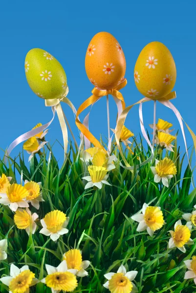 Easter eggs on the meadow — Stock Photo, Image