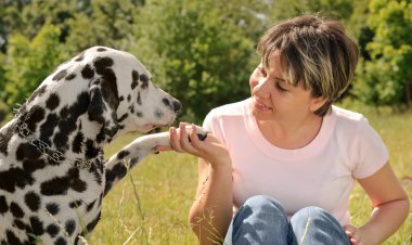 kadın ile köpek parkında oynayan