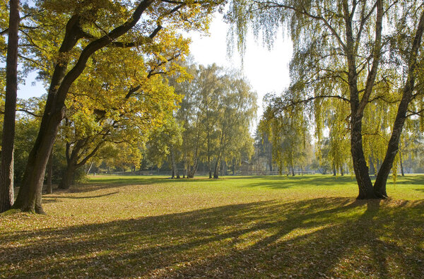 Beautiful quiet park in bright autumnal colours
