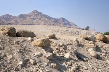 Desert near the shore of the Dead Sea clipart