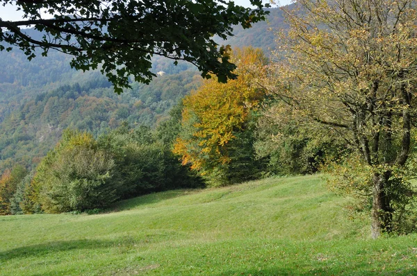 Jesień łąki #1, cisa — Stockfoto